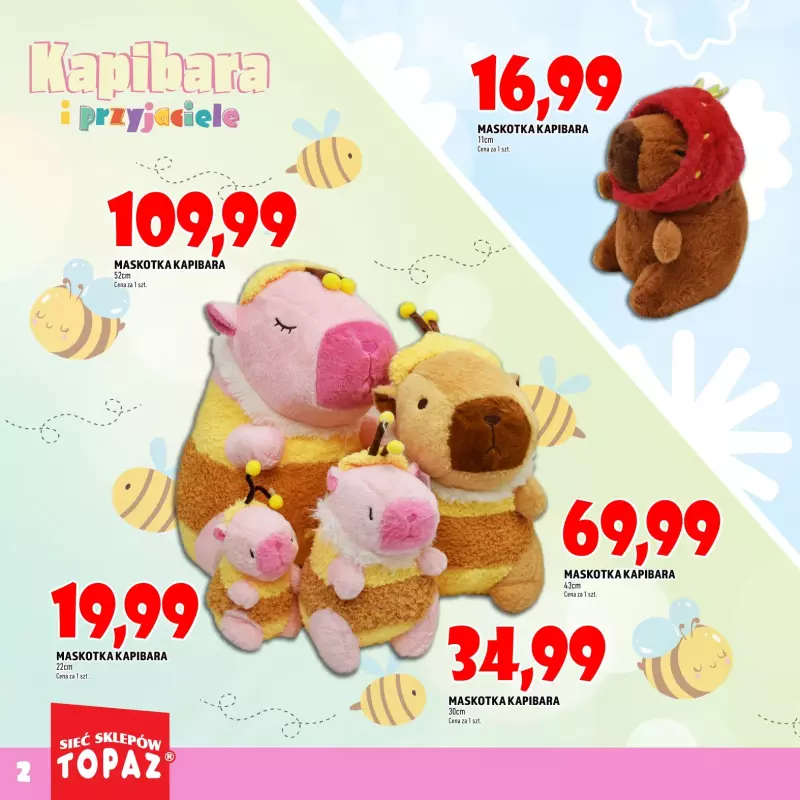 TOPAZ - gazetka promocyjna Katalog Kapibara i przyjaciele   - strona 2
