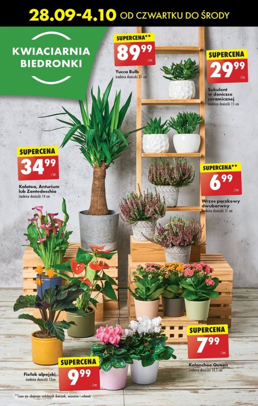 Biedronka - gazetka promocyjna Od czwartku od czwartku 28.09 do środy 04.10 - strona 25