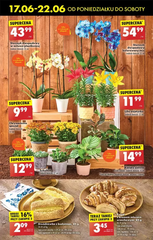 Ciastko duet z truskawkami cena promocje opinie sklep Blix.pl