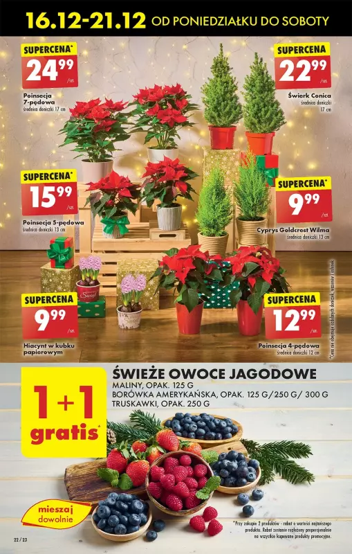 Biedronka - gazetka promocyjna Od poniedziałku od poniedziałku 16.12 do niedzieli 22.12 - strona 24