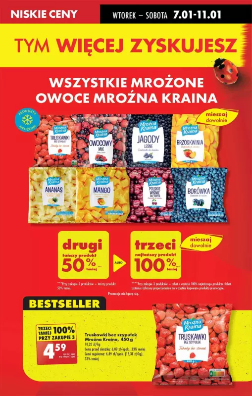 Biedronka - gazetka promocyjna Gazetka od wtorku 07.01 do poniedziałku 13.01 - strona 13