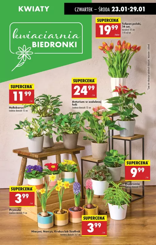 Biedronka - gazetka promocyjna Od czwartku od czwartku 23.01 do środy 29.01 - strona 75