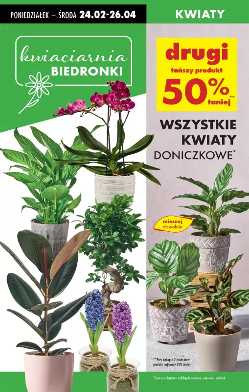 Biedronka - gazetka promocyjna Od poniedziałku od poniedziałku 24.02 do soboty 01.03 - strona 22