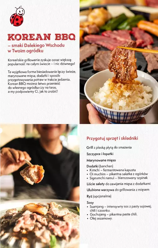 Biedronka - gazetka promocyjna Czas na multikulturalny grill   - strona 10