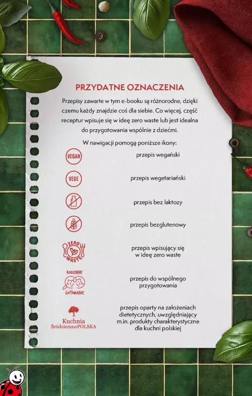 Biedronka - gazetka promocyjna Czas na multikulturalny grill   - strona 5