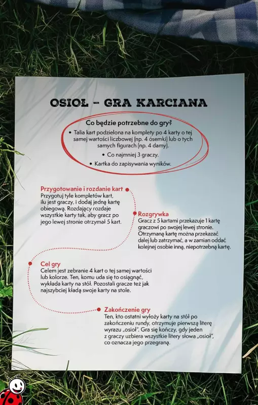 Biedronka - gazetka promocyjna Czas na multikulturalny grill   - strona 9