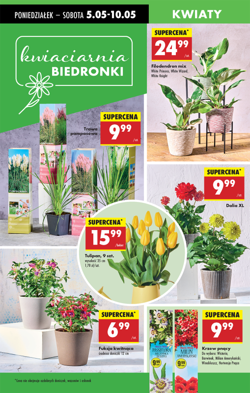 Biedronka - gazetka promocyjna Od poniedziałku od poniedziałku 05.05 do niedzieli 11.05 - strona 67