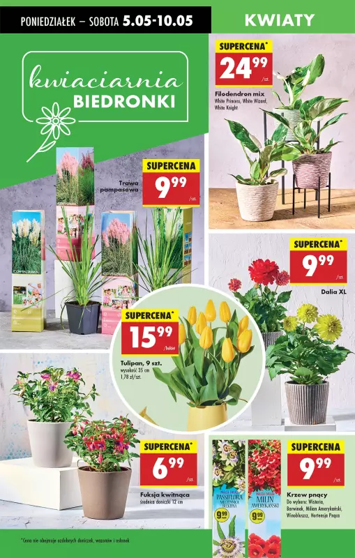 Biedronka - gazetka promocyjna Od poniedziałku od poniedziałku 05.05 do niedzieli 11.05 - strona 67