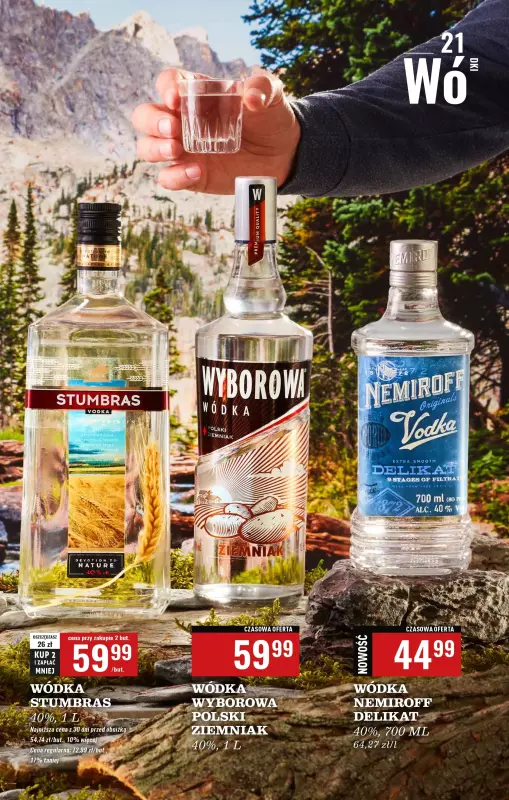 Biedronka - gazetka promocyjna Czas na Toast! od poniedziałku 05.05 do soboty 17.05 - strona 21