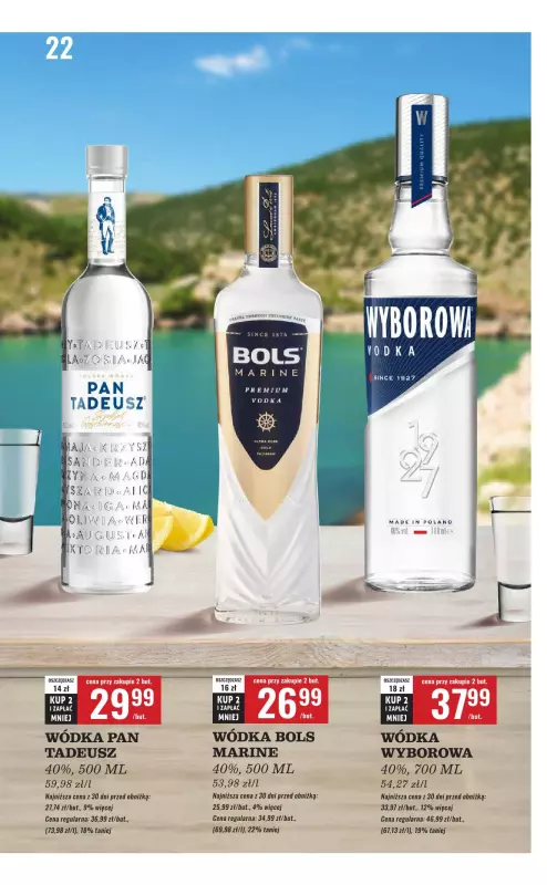 Biedronka - gazetka promocyjna Czas na Toast! od poniedziałku 19.05 do soboty 31.05 - strona 22