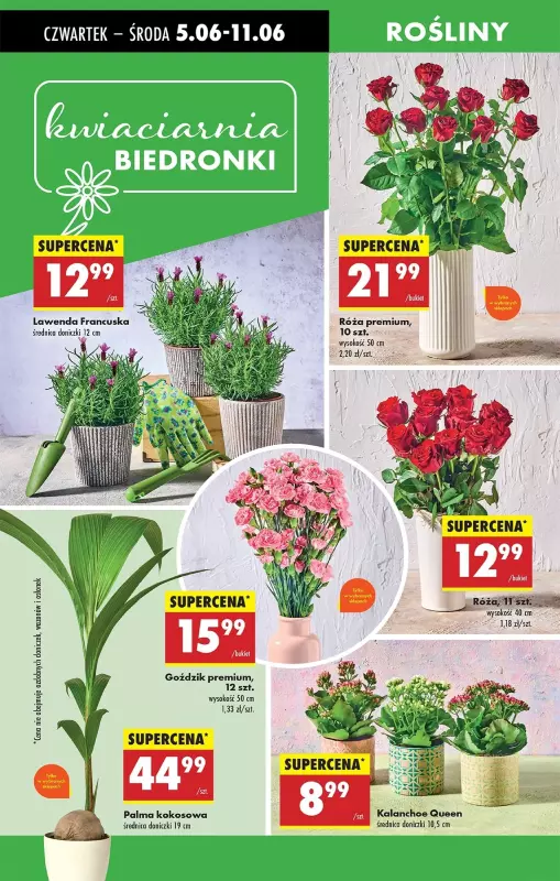 Biedronka - gazetka promocyjna Od czwartku od czwartku 05.06 do środy 11.06 - strona 66