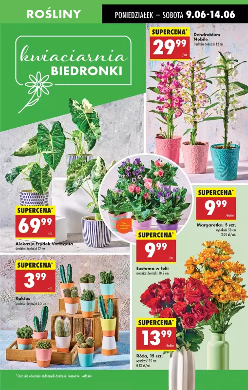 Biedronka - gazetka promocyjna Od poniedziałku od poniedziałku 09.06 do niedzieli 15.06 - strona 19