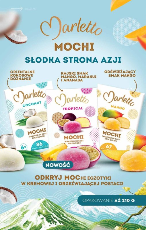 Biedronka - gazetka promocyjna Katalog Lodowa Budka od soboty 14.06  - strona 4