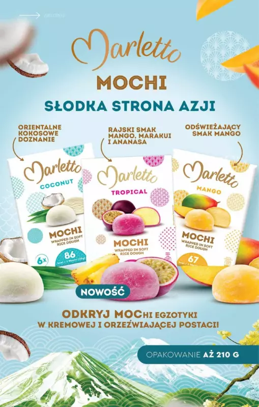 Biedronka - gazetka promocyjna Katalog Lodowa Budka od soboty 14.06  - strona 4