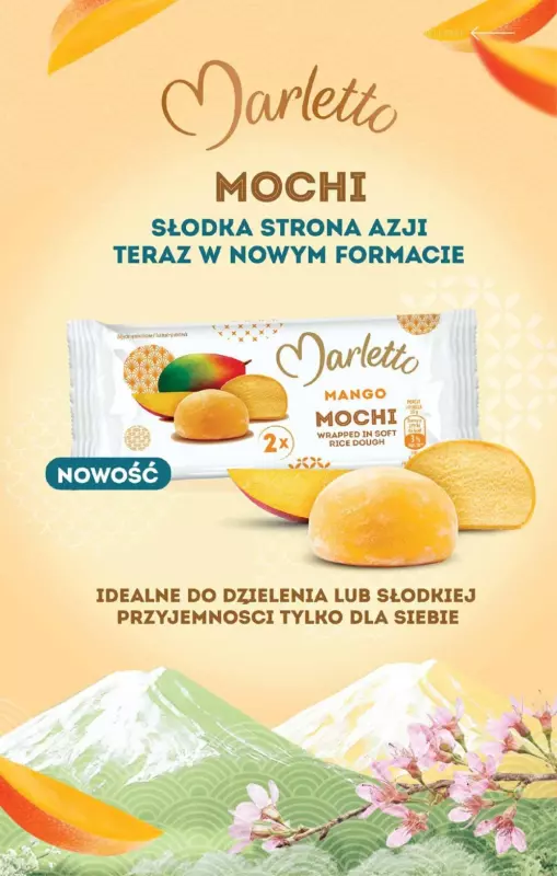Biedronka - gazetka promocyjna Katalog Lodowa Budka   - strona 3