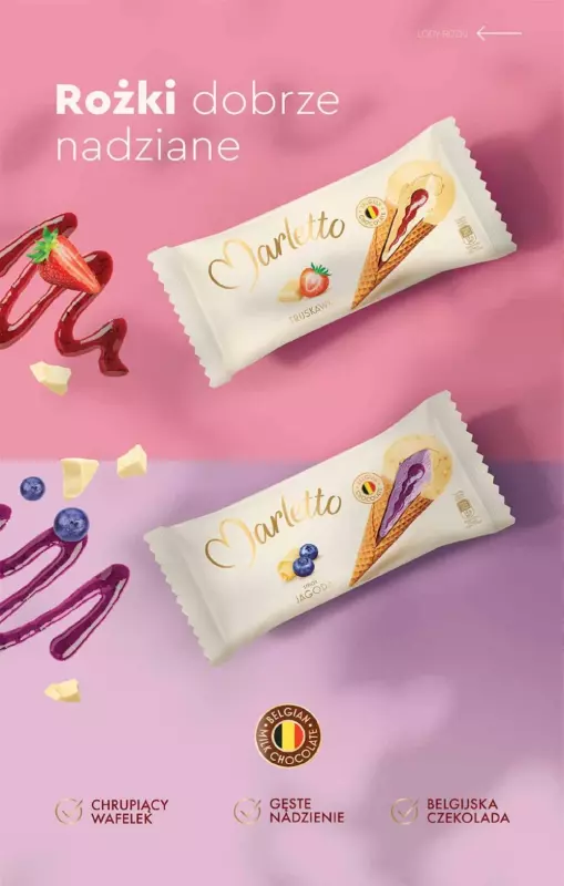 Biedronka - gazetka promocyjna Katalog Lodowa Budka od soboty 14.06  - strona 15