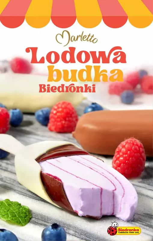 Biedronka - gazetka promocyjna Katalog Lodowa Budka od soboty 14.06 