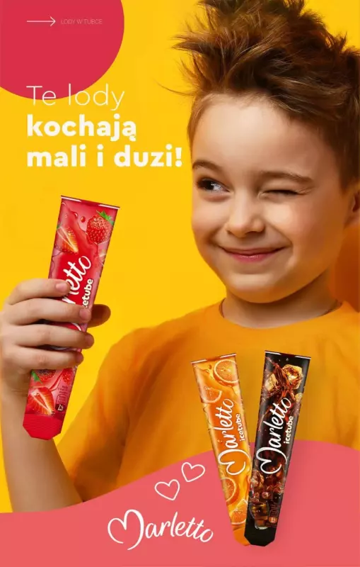 Biedronka - gazetka promocyjna Katalog Lodowa Budka od soboty 14.06  - strona 12