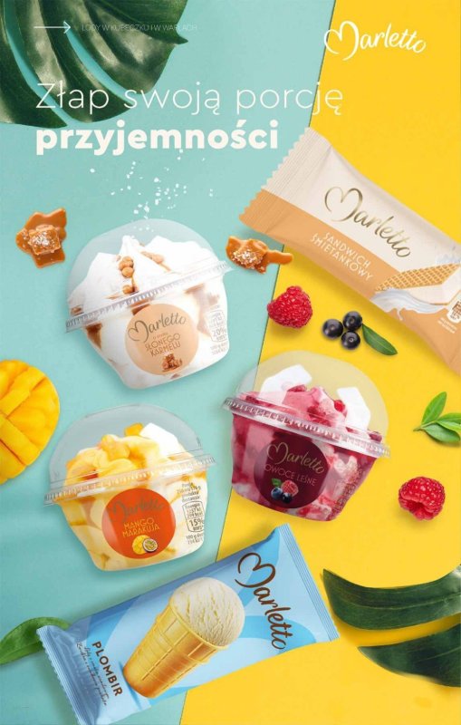 Biedronka - gazetka promocyjna Katalog Lodowa Budka od soboty 14.06  - strona 20