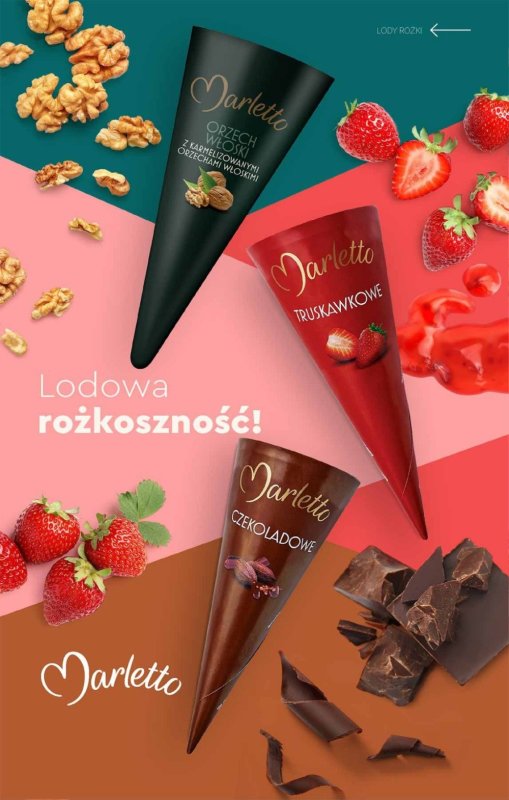Biedronka - gazetka promocyjna Katalog Lodowa Budka od soboty 14.06  - strona 17
