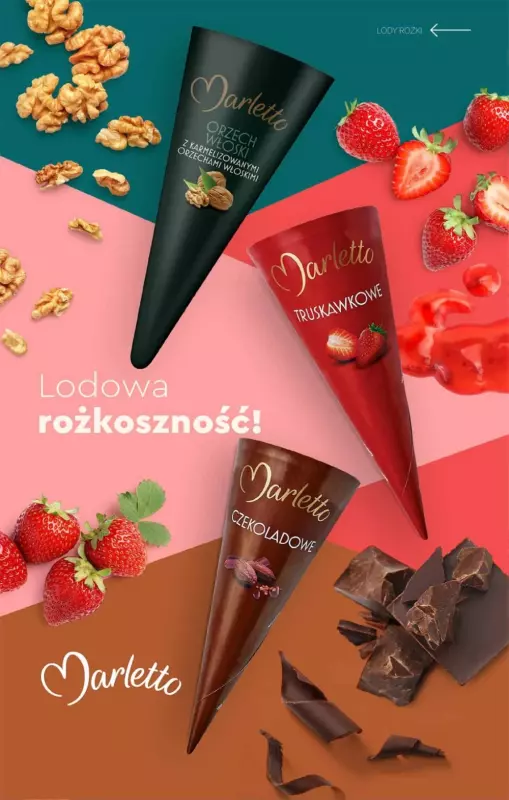 Biedronka - gazetka promocyjna Katalog Lodowa Budka od soboty 14.06  - strona 17