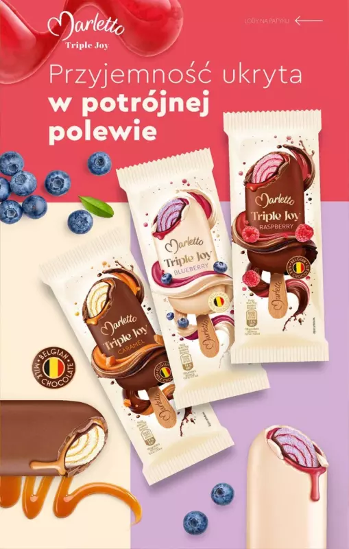 Biedronka - gazetka promocyjna Katalog Lodowa Budka od soboty 14.06  - strona 13