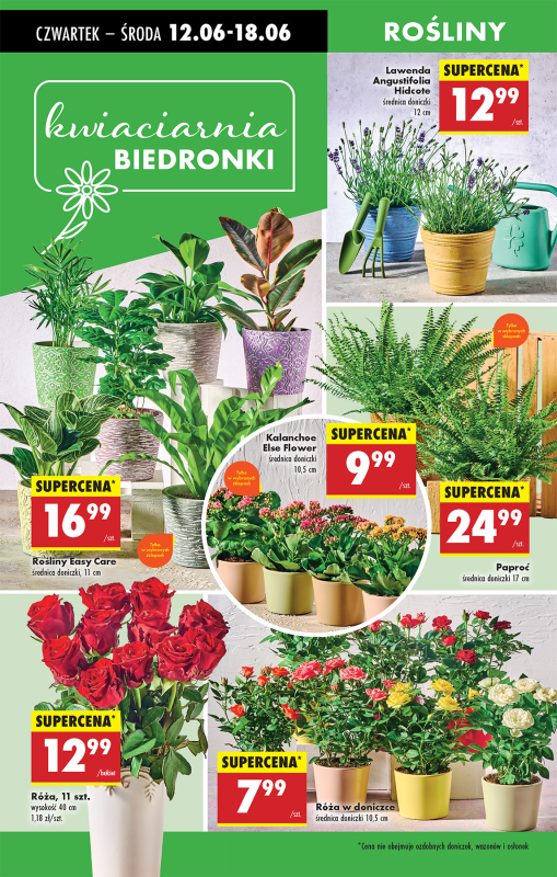 Biedronka - gazetka promocyjna Od czwartku od czwartku 12.06 do środy 18.06 - strona 64