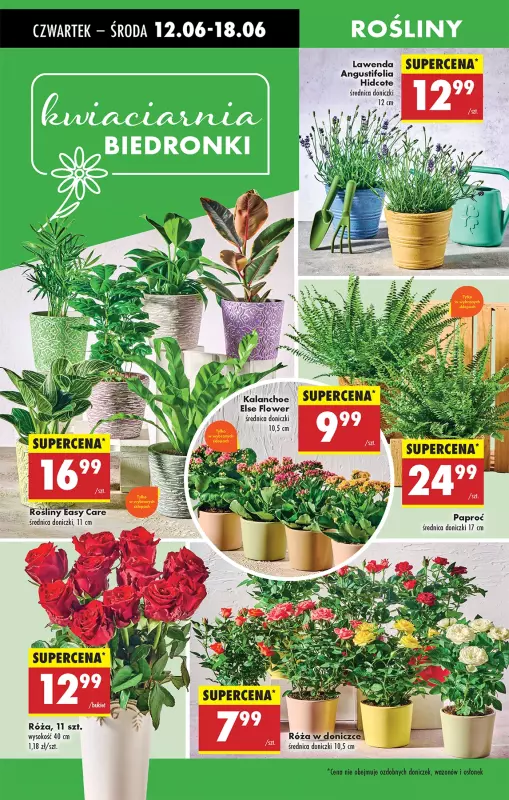 Biedronka - gazetka promocyjna Od czwartku, Z ladą tradycyjną od czwartku 12.06 do środy 18.06 - strona 64