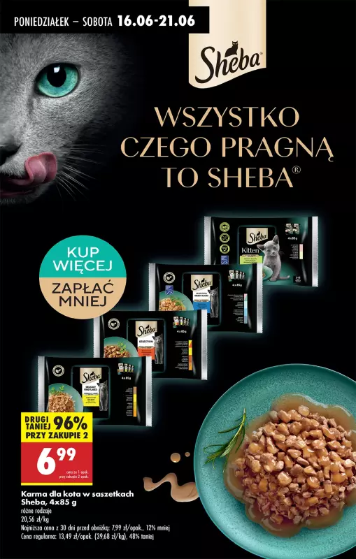 Biedronka - gazetka promocyjna Od poniedziałku od poniedziałku 16.06 do niedzieli 22.06 - strona 71