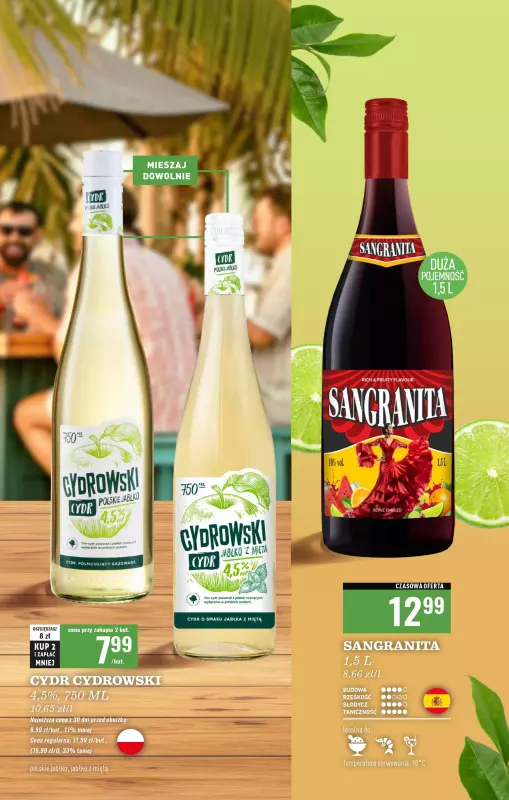 Biedronka - gazetka promocyjna Czas na toast od poniedziałku 16.06 do niedzieli 29.06 - strona 19