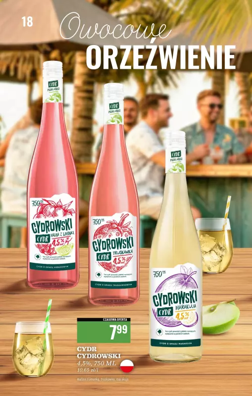 Biedronka - gazetka promocyjna Czas na toast od poniedziałku 16.06 do niedzieli 29.06 - strona 18