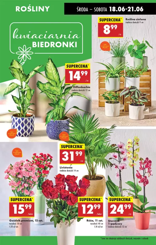 Biedronka - gazetka promocyjna Od środy od środy 18.06 do wtorku 24.06 - strona 26