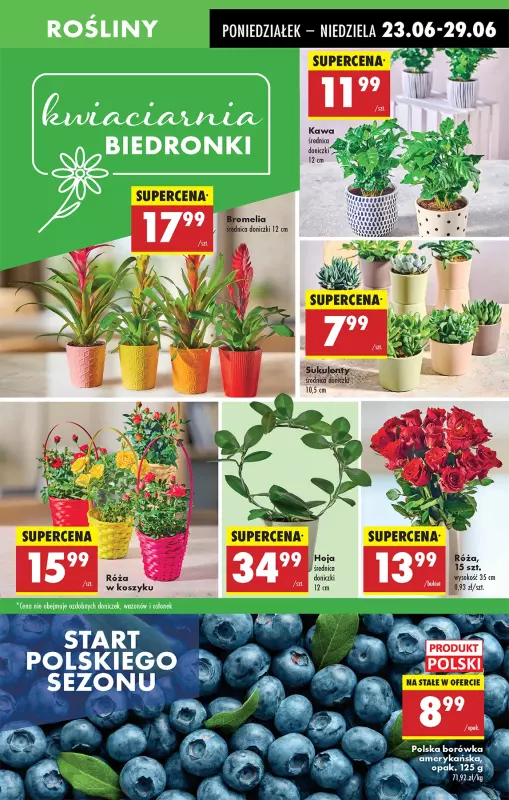 Biedronka - gazetka promocyjna Od poniedziałku od poniedziałku 23.06 do niedzieli 29.06 - strona 15