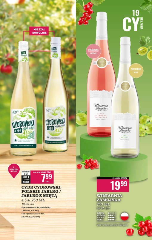 Biedronka - gazetka promocyjna Czas na toast od poniedziałku 30.06 do soboty 12.07 - strona 19