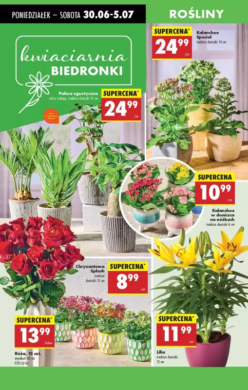 Biedronka - gazetka promocyjna Od poniedziałku od poniedziałku 30.06 do niedzieli 06.07 - strona 75