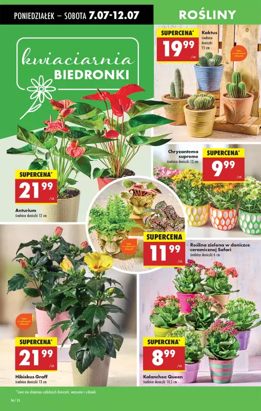 Biedronka - gazetka promocyjna Od poniedziałku od poniedziałku 07.07 do niedzieli 13.07 - strona 25