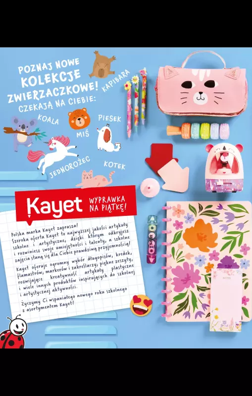 Biedronka - gazetka promocyjna Oferta Back To School - Złap zajawkę na wyprawkę!   - strona 2