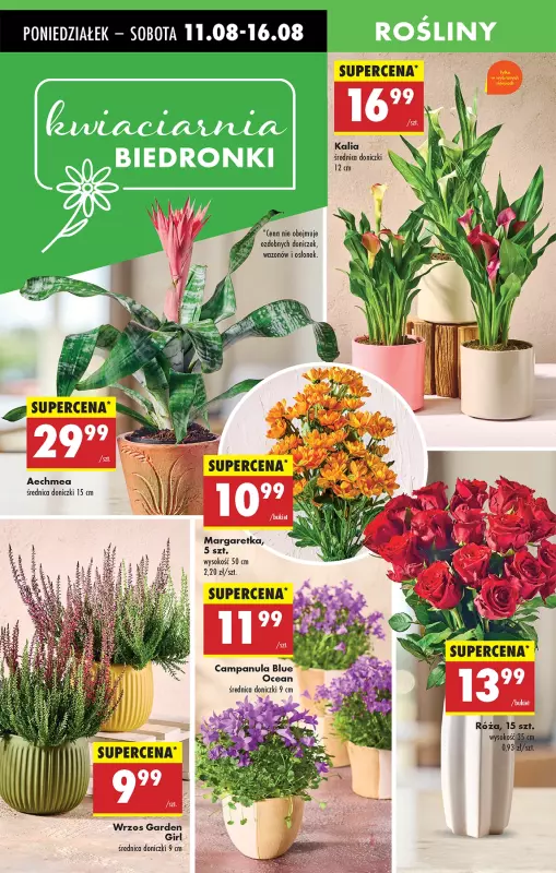 Biedronka - gazetka promocyjna Od poniedziałku od poniedziałku 11.08 do niedzieli 17.08 - strona 24
