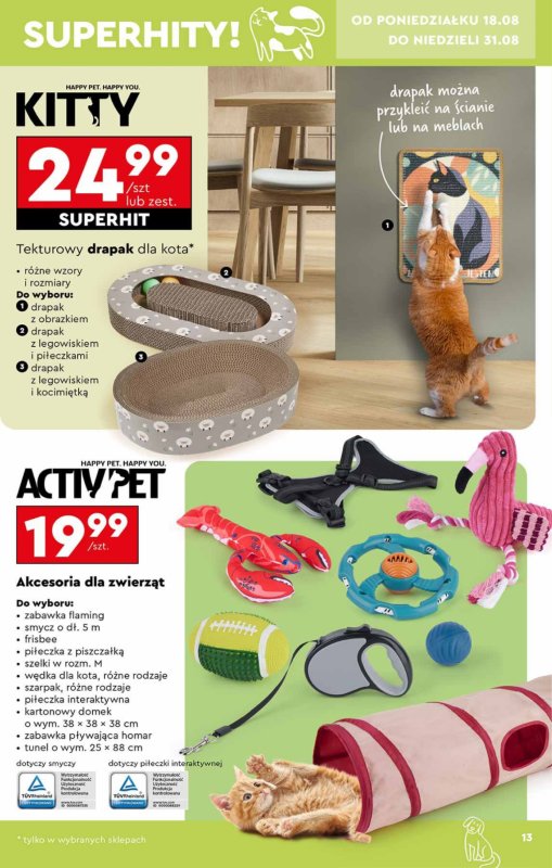 Biedronka - gazetka promocyjna Okazje tygodnia od 18.08 od poniedziałku 18.08 do środy 03.09 - strona 13