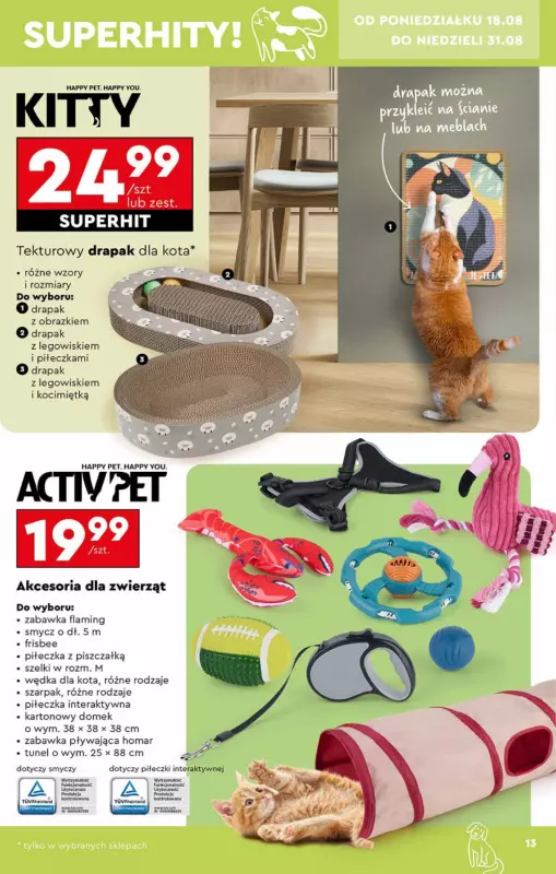 Biedronka - gazetka promocyjna Okazje tygodnia od 18.08 od poniedziałku 18.08 do środy 03.09 - strona 13