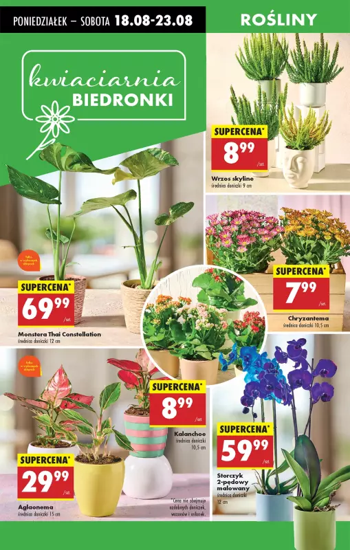 Biedronka - gazetka promocyjna Od poniedziałku, Z ladą tradycyjną od poniedziałku 18.08 do niedzieli 24.08 - strona 69