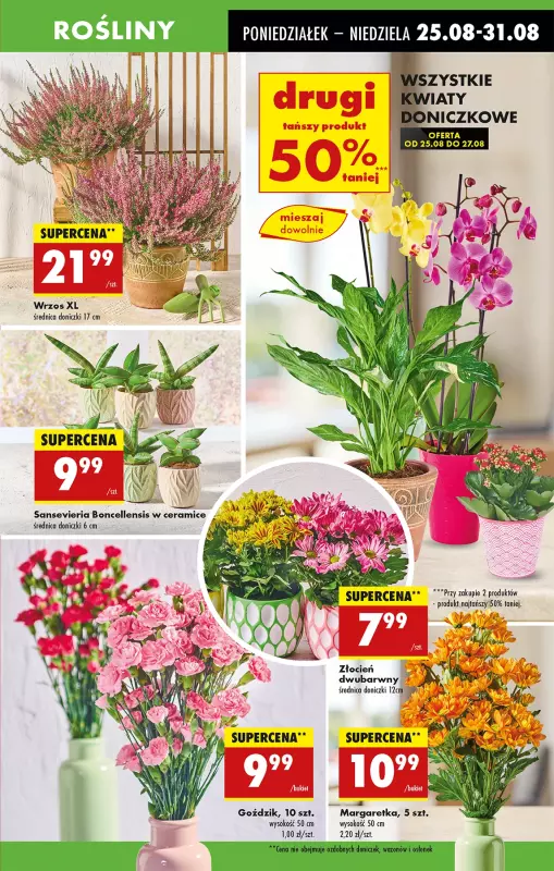 Biedronka - gazetka promocyjna Od poniedziałku od poniedziałku 25.08 do niedzieli 31.08 - strona 23