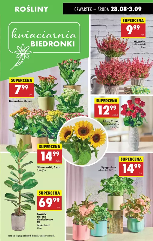 Biedronka - gazetka promocyjna Od czwartku od czwartku 28.08 do środy 03.09 - strona 25