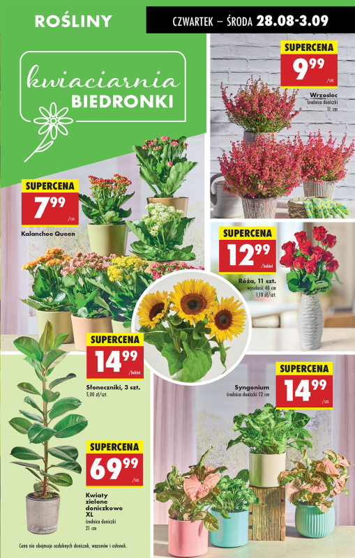 Biedronka - gazetka promocyjna Od czwartku, Z ladą tradycyjną od czwartku 28.08 do środy 03.09 - strona 25