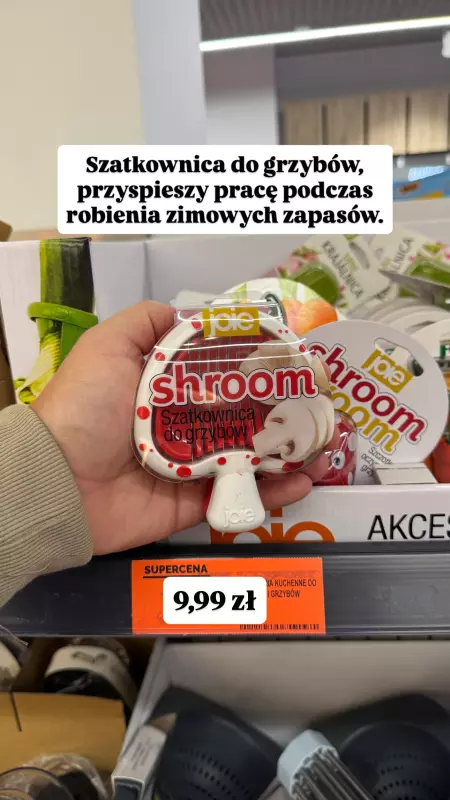 Biedronka - gazetka promocyjna Wasze Inspiracje w Biedronce od piątku 29.08  - strona 5