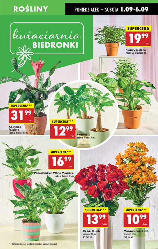 Biedronka - gazetka promocyjna Od poniedziałku od poniedziałku 01.09 do soboty 06.09 - strona 17