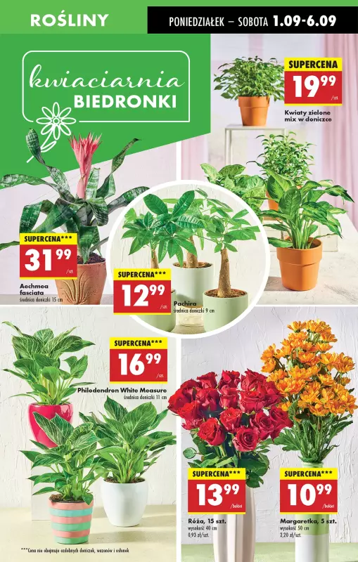 Biedronka - gazetka promocyjna Od poniedziałku, Z ladą tradycyjną od poniedziałku 01.09 do soboty 06.09 - strona 17