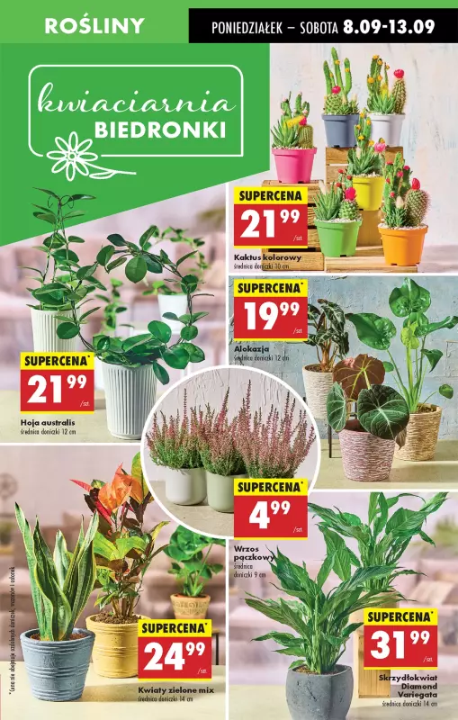 Biedronka - gazetka promocyjna Od poniedziałku od poniedziałku 08.09 do niedzieli 14.09 - strona 19
