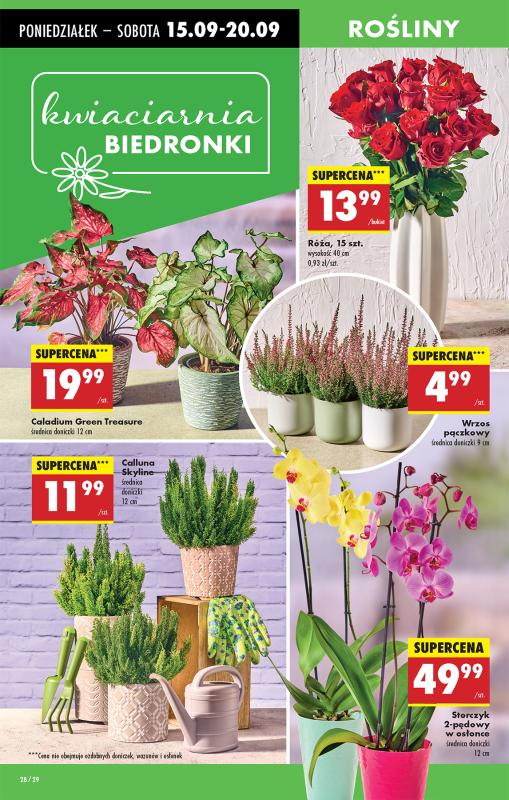 Biedronka - gazetka promocyjna Od poniedziałku od poniedziałku 15.09 do niedzieli 21.09 - strona 32
