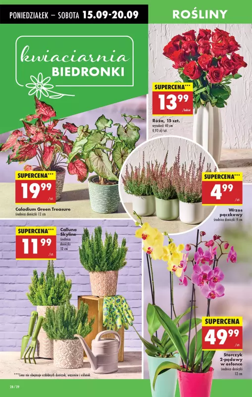 Biedronka - gazetka promocyjna Od poniedziałku od poniedziałku 15.09 do niedzieli 21.09 - strona 32
